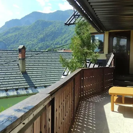 Rock * Bohinjska Bela